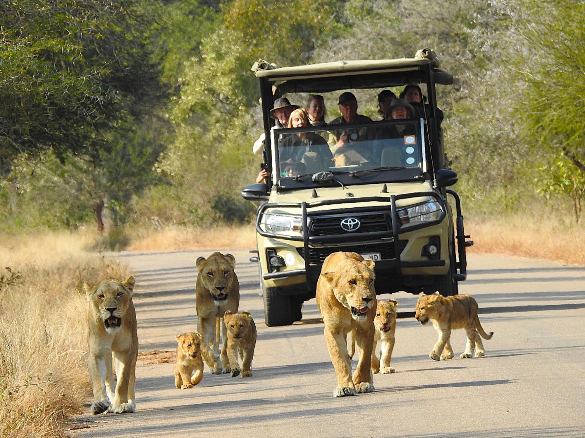Ubuntu Bed&Breakfast Marloth Park Bagian luar foto
