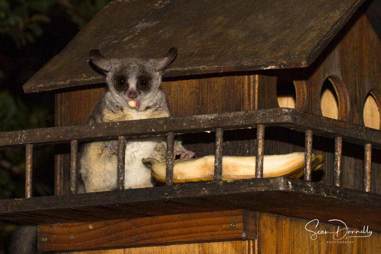 Ubuntu Bed&Breakfast Marloth Park Bagian luar foto