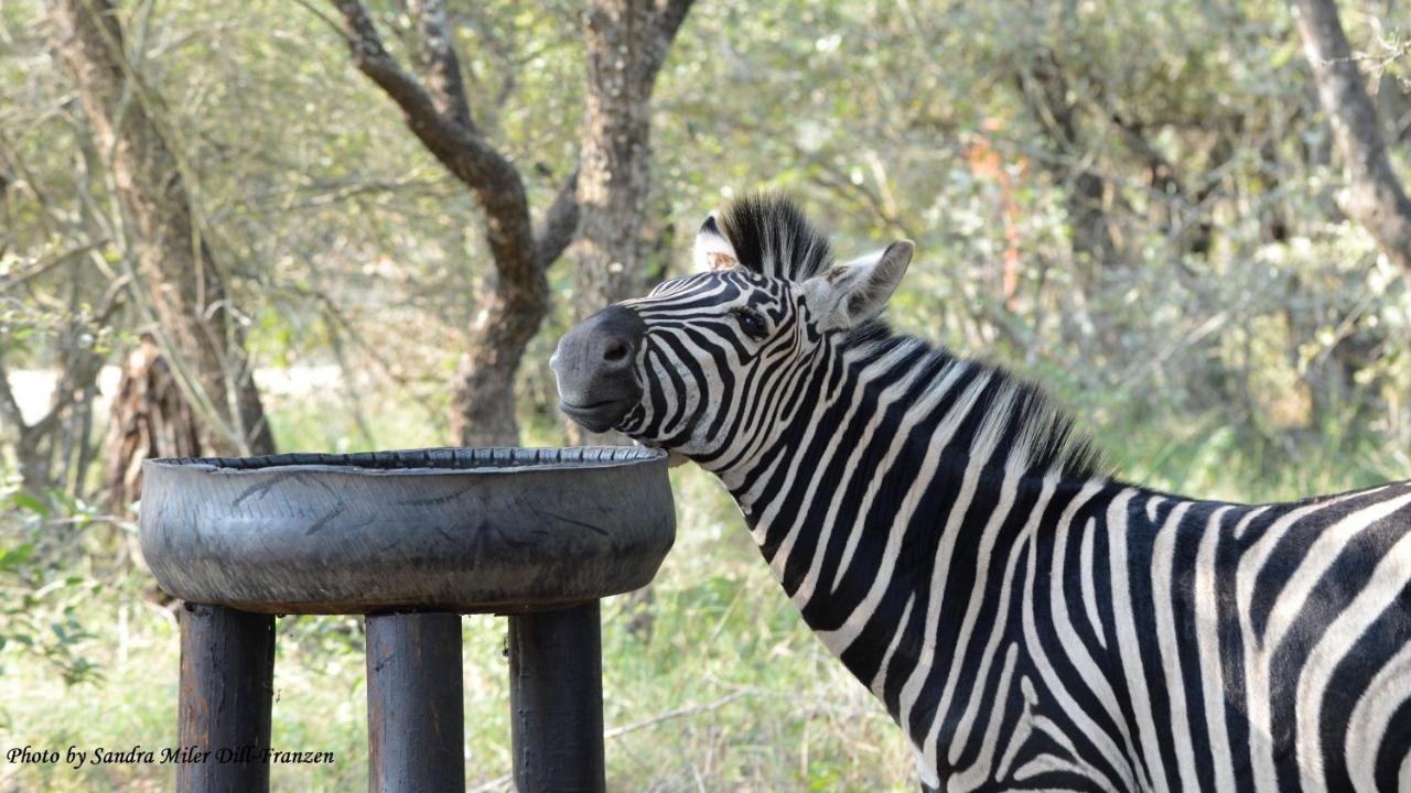 Ubuntu Bed&Breakfast Marloth Park Bagian luar foto